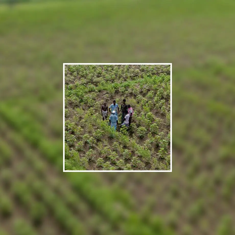 Proveniență transparentă